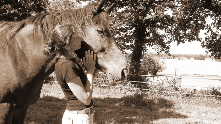 cheval-authentique-jessica-bevin-calais