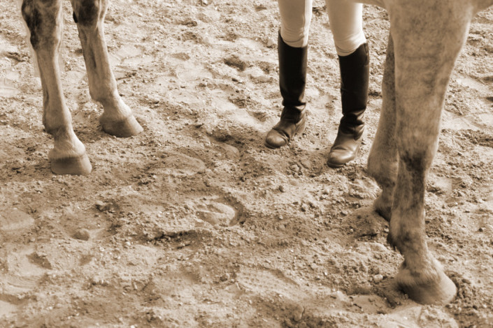 Cheval Authentique – Professionnels equestres